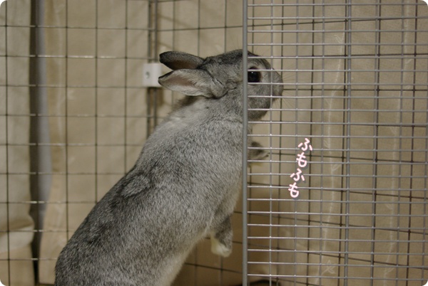 たっち