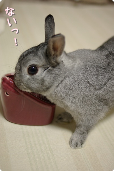 なんで〜?