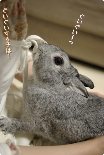 たのしいね