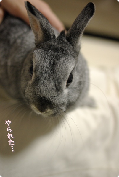 ふかく…