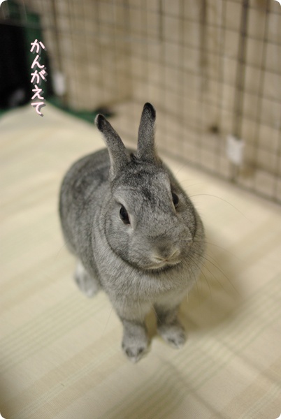 ふうむ
