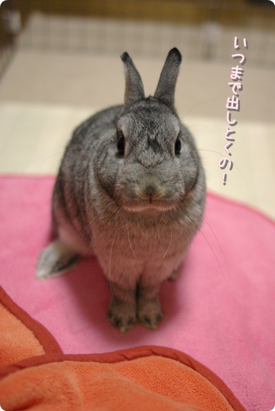 もうとっくに春だよね