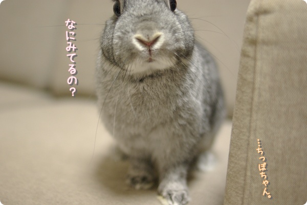 ゆだんしたわ