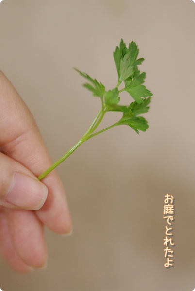 ちょこっとおすそわけ