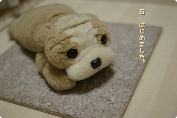 久々に登場