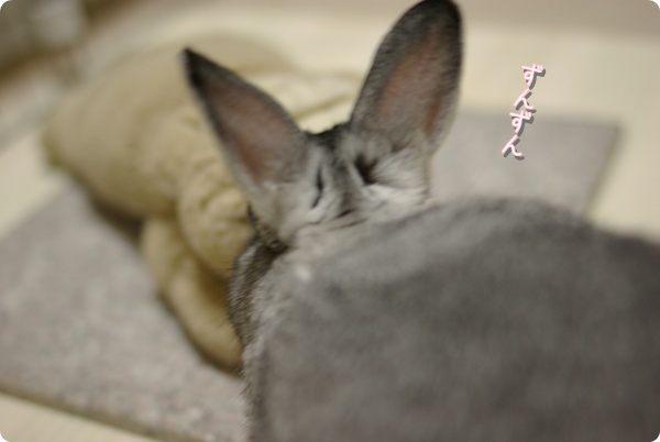さっそくきたよ