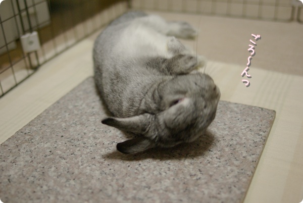 大胆に背中から