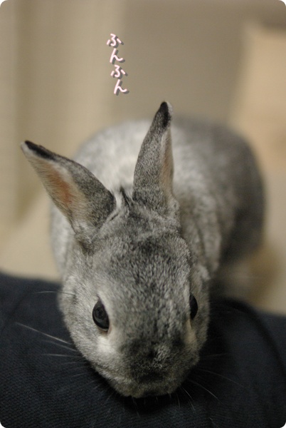 ばんとうだね…