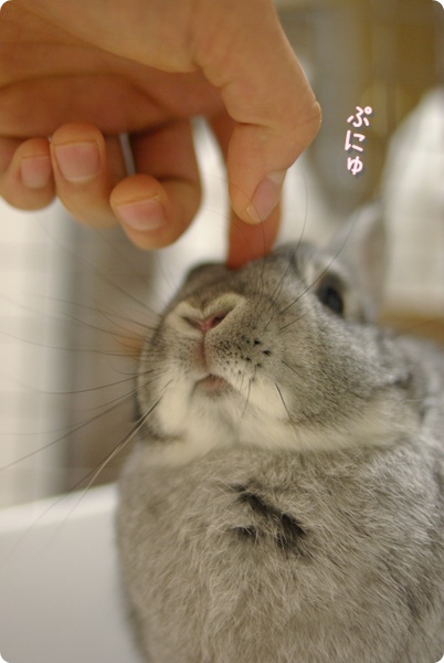 おでこつん