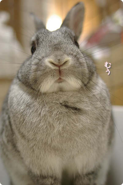 ぴか〜ん