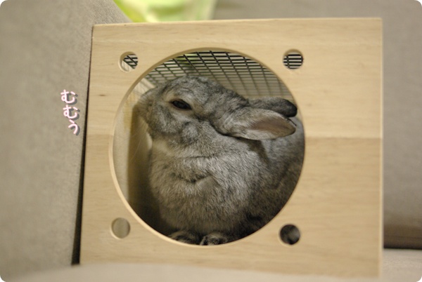 シブい顔