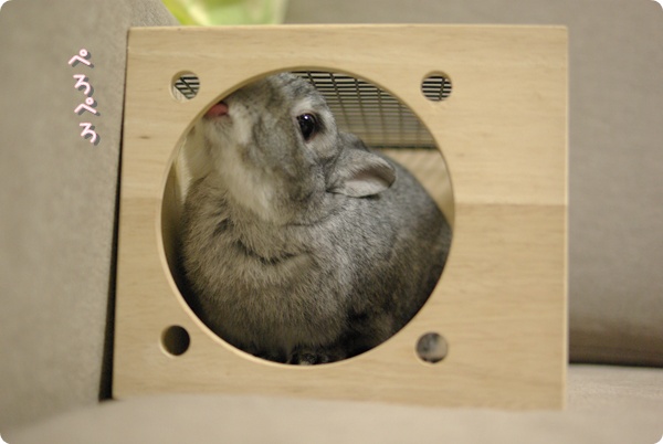 たのしそうだね