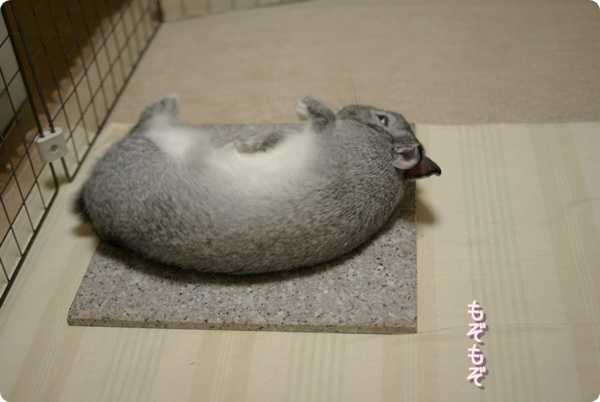 たべちゃうぞ