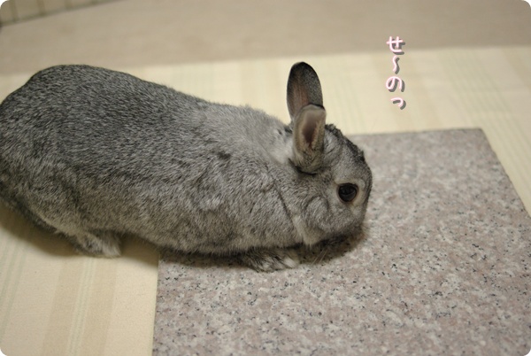 もういちど