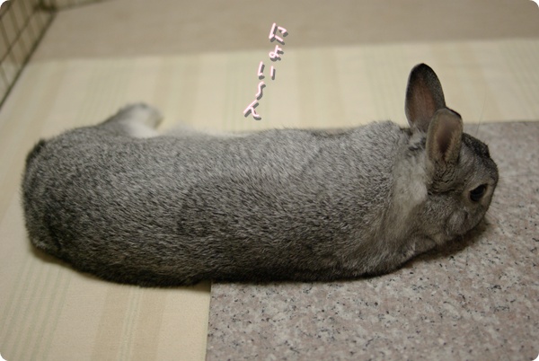 あれ?