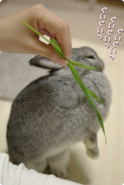 ぜったいあたしのよ〜!