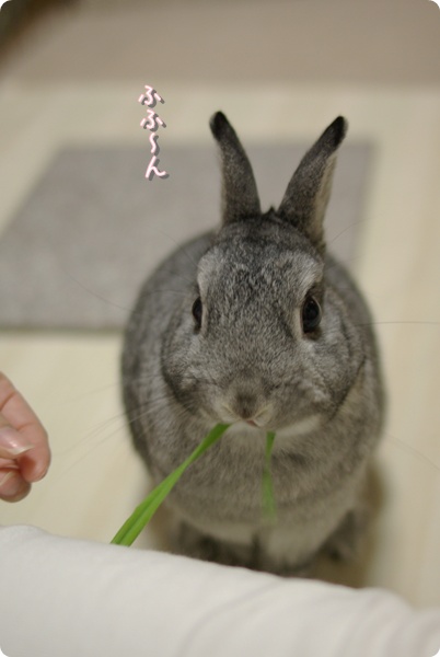 うまうま