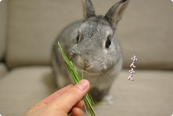 とりあえず…