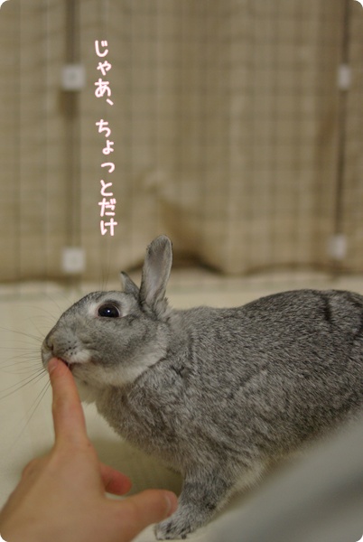 うひうひ
