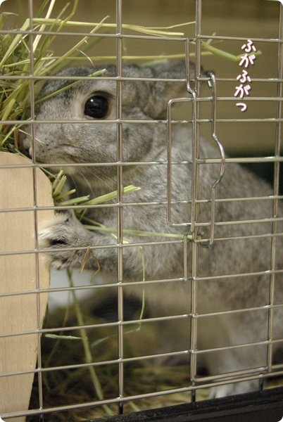 どこ?
