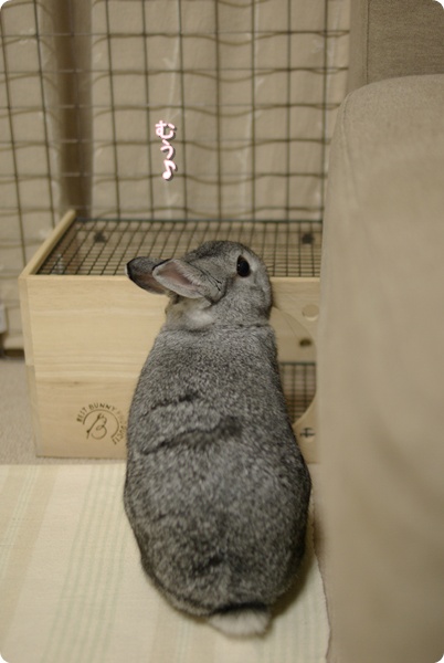 ごきげん