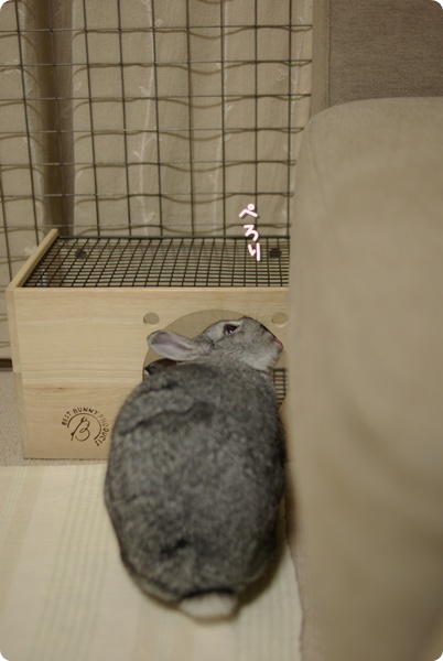 おあじみ
