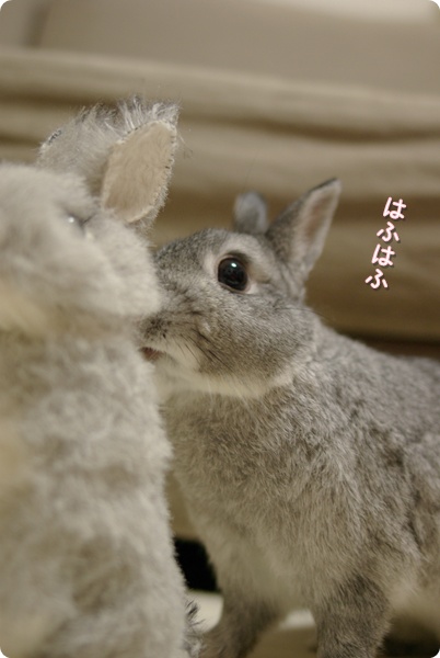 夢中です