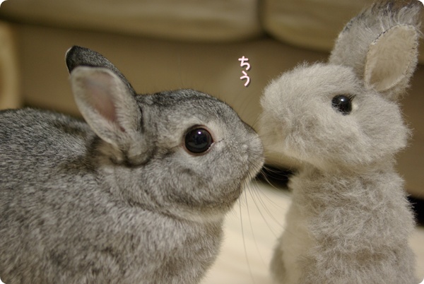 ごあいさつ