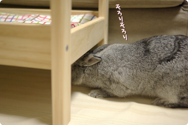 どきどき