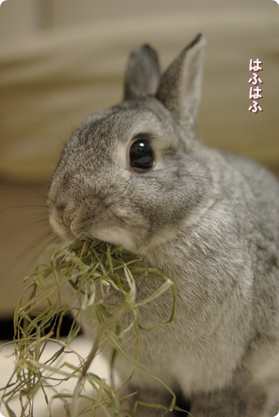 たくさん食べちゃうのー