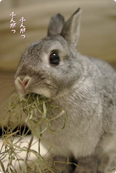 豪快なのがポイントよ〜