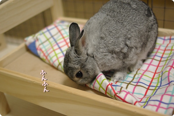 ベッドの状態を確認しましょう