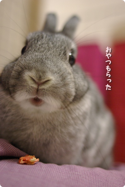 むは♪
