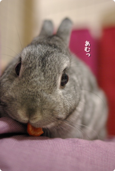 ぱくり