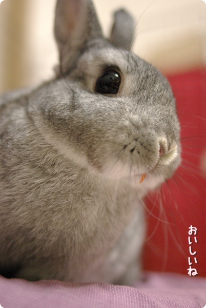 きら〜ん