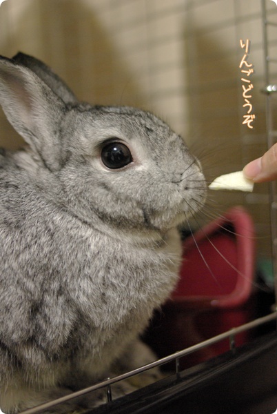 ふんふん