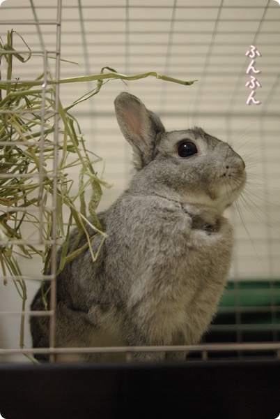 おいしい香りは