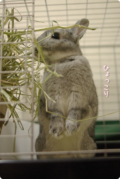 ここにあった