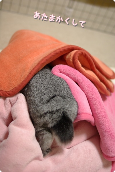 もごもご
