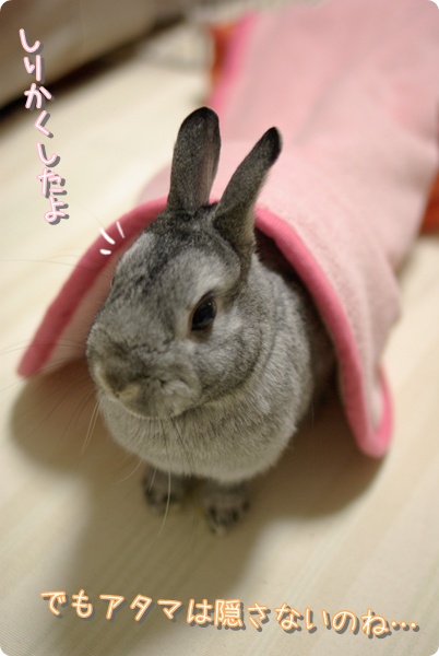 こんにちは〜♪