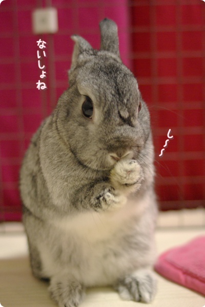 にんにん