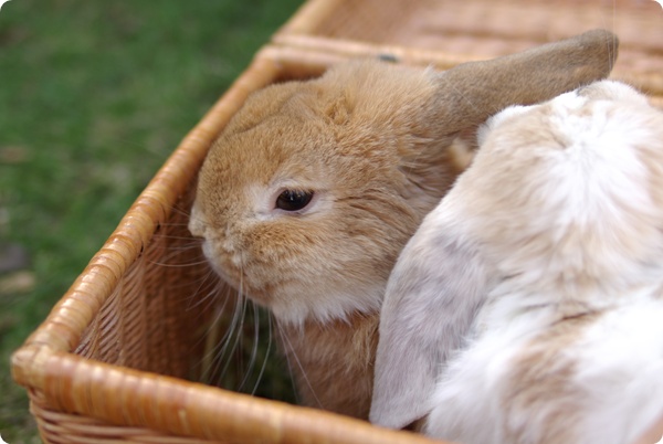 陸ちんです♪