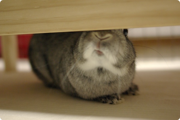 ふむふむ