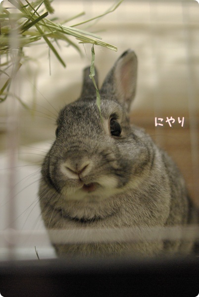 うひ