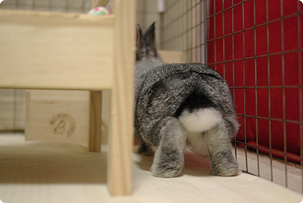へっぴり腰