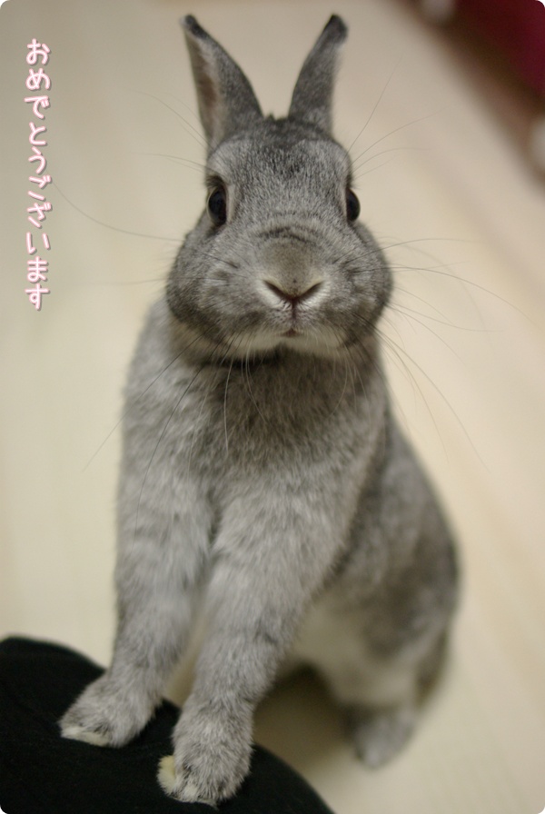 2010年ごあいさつ