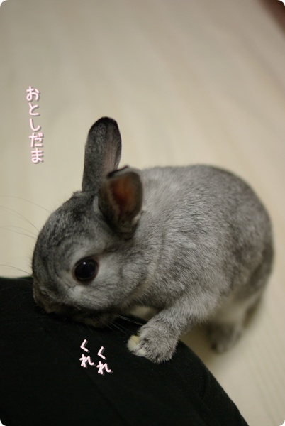 ほりほ〜り♪