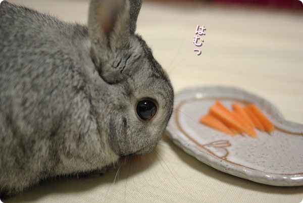 ちら見してます