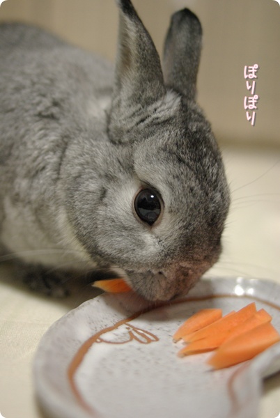 一本ずつ食べます