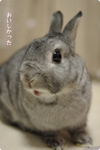 お口あ〜ん